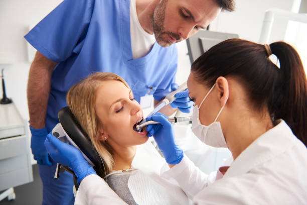  Cumberland Head, NY Holistic Dental Services Pros
